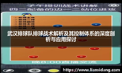 武汉排球队排球战术解析及其控制体系的深度剖析与应用探讨