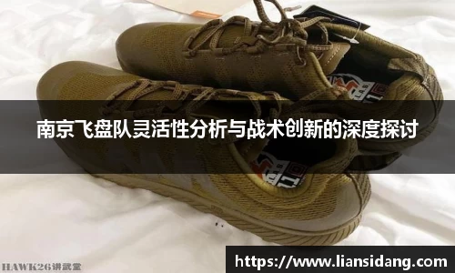 南京飞盘队灵活性分析与战术创新的深度探讨