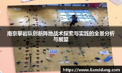 南京攀岩队创新阵地战术探索与实践的全景分析与展望