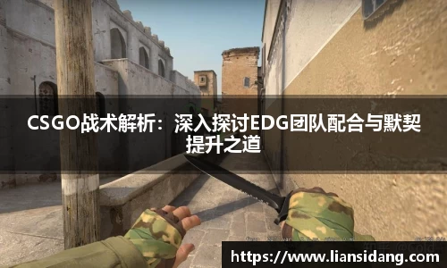 CSGO战术解析：深入探讨EDG团队配合与默契提升之道